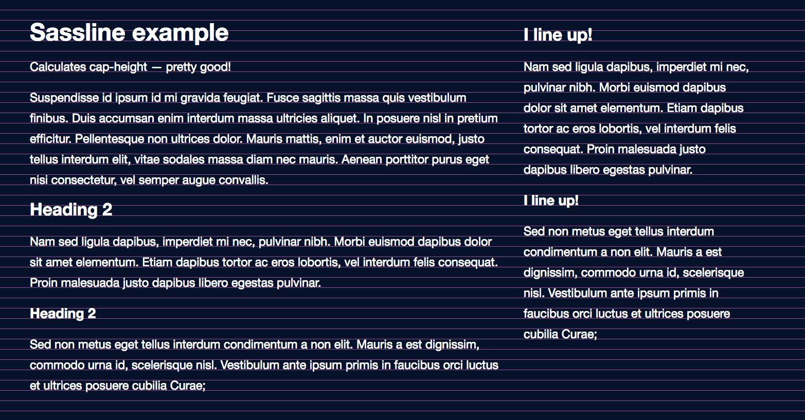 sassline example